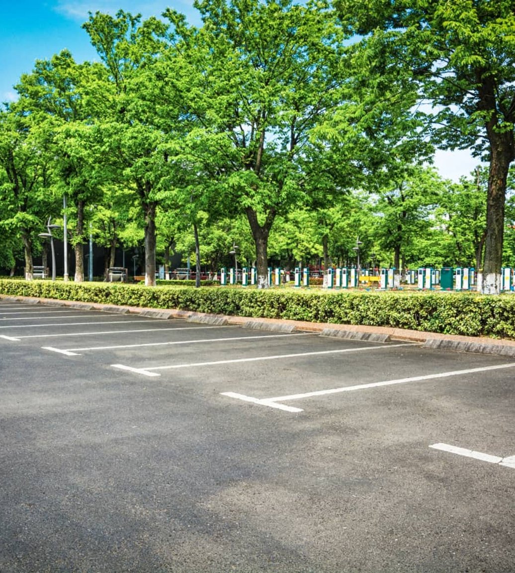Commercial parking lot with hedge and tree screening in Oak Harbor