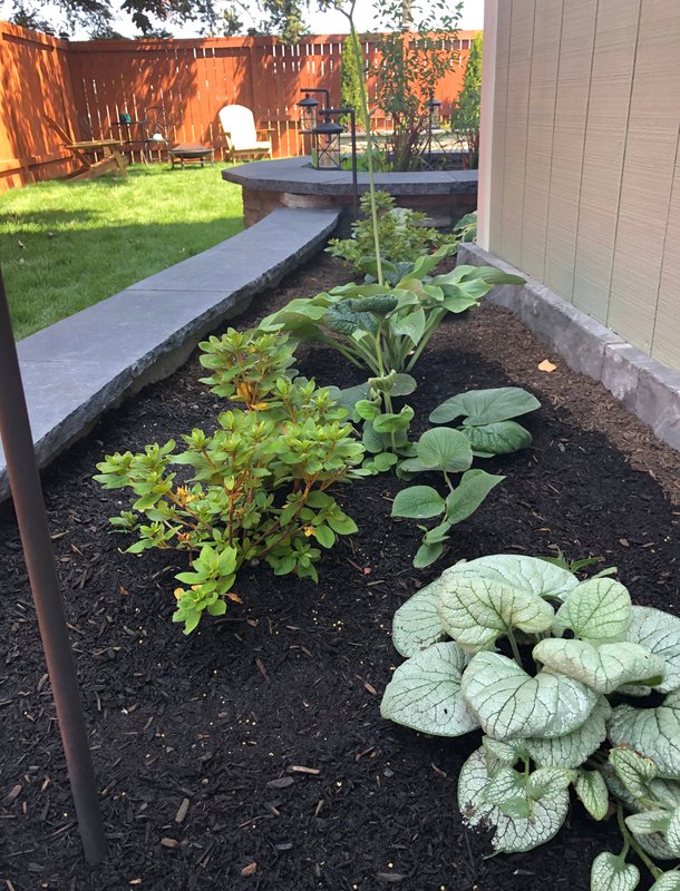Mulched foundation bed with hostas and a stone border in Oak Harbor