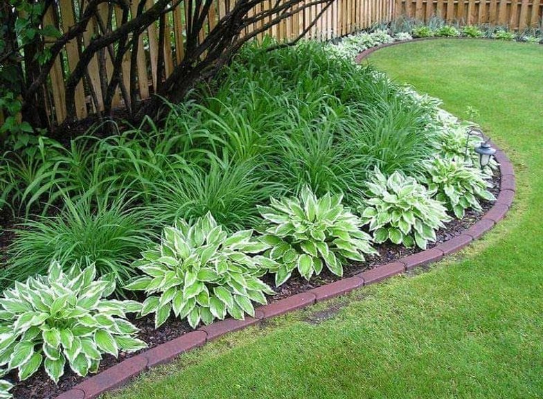 Curved garden bed with hostas and brick edging in an Oak Harbor lawn