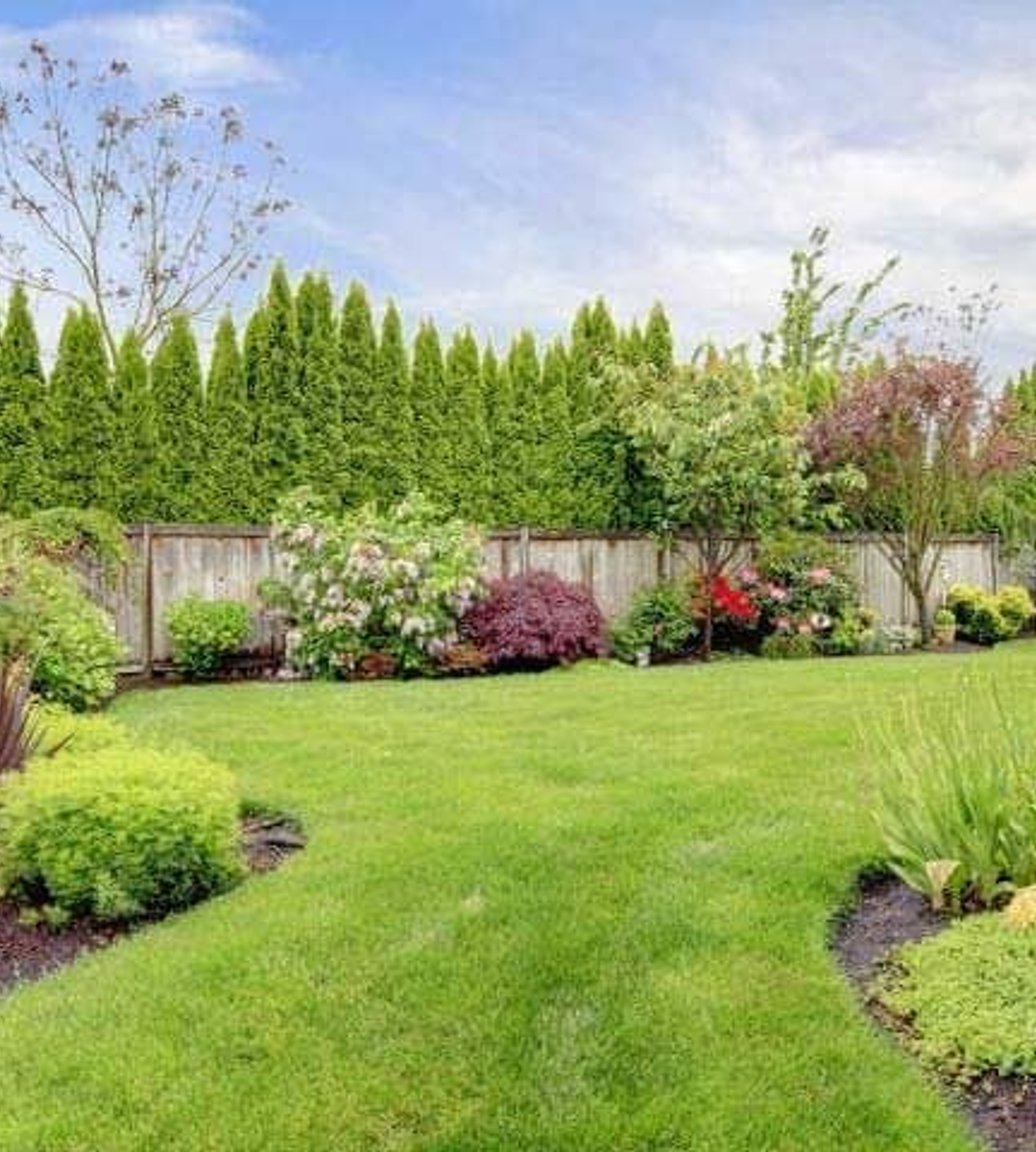 Landscaped backyard with lawn, garden beds, and privacy trees in Oak Harbor