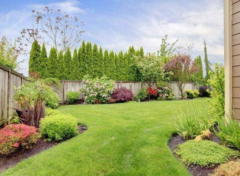 Landscaped backyard with lawn, garden beds, and privacy trees in Oak Harbor