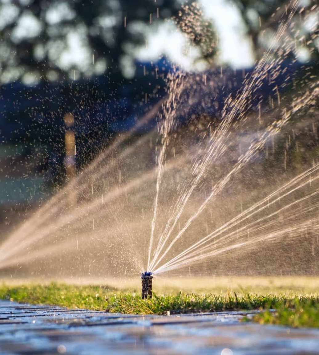 Pop-up sprinkler watering a lawn in Oak Harbor