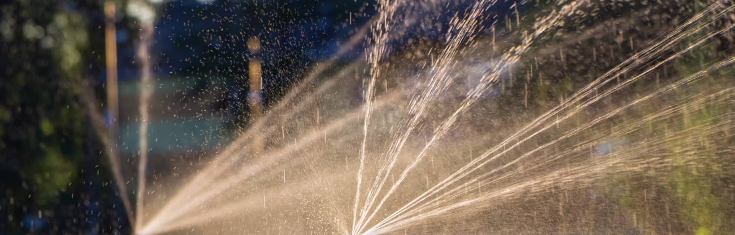 Pop-up sprinkler watering a lawn in Oak Harbor